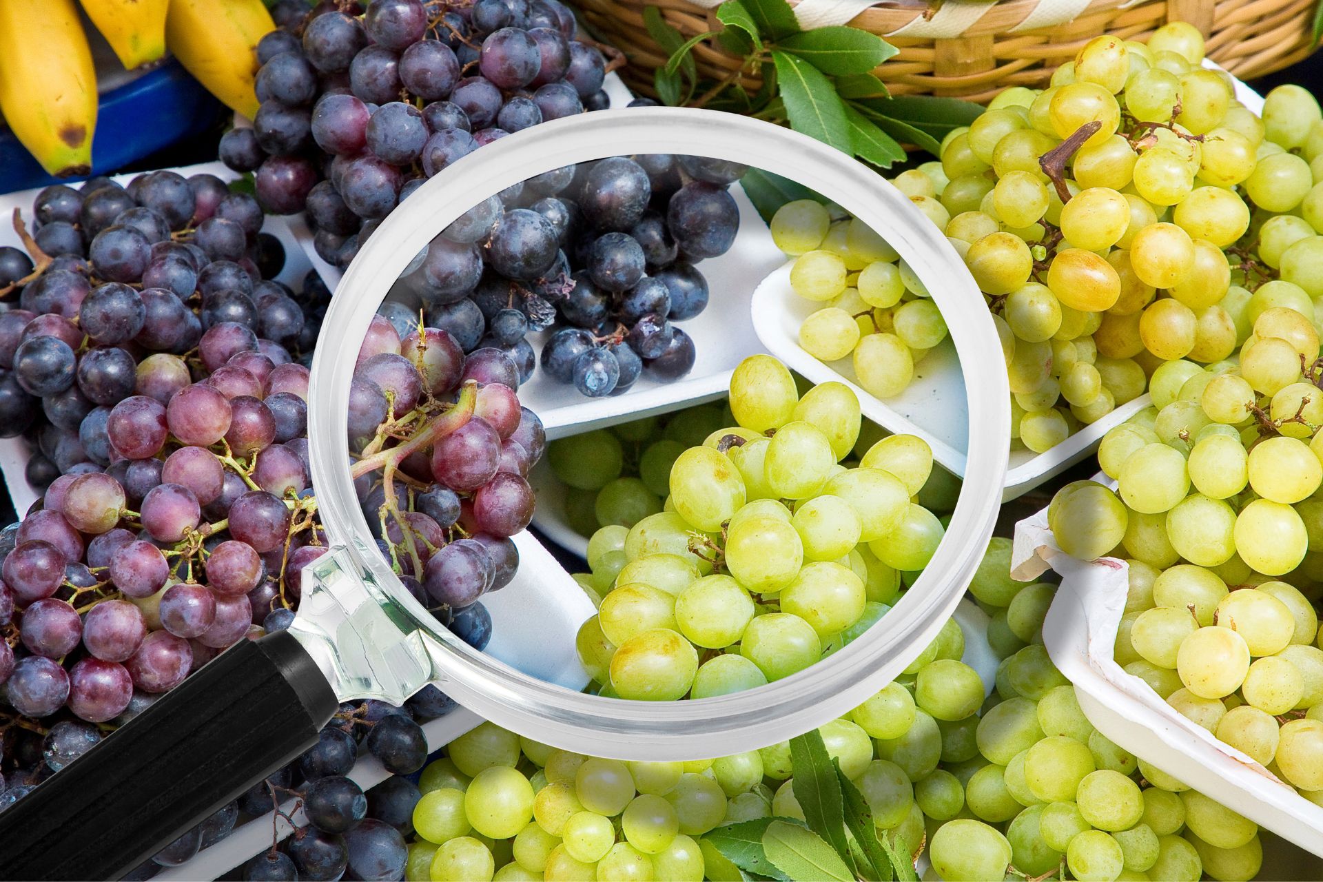 Digital Detox and Nutrition: Balancing Health in the Age of Screens