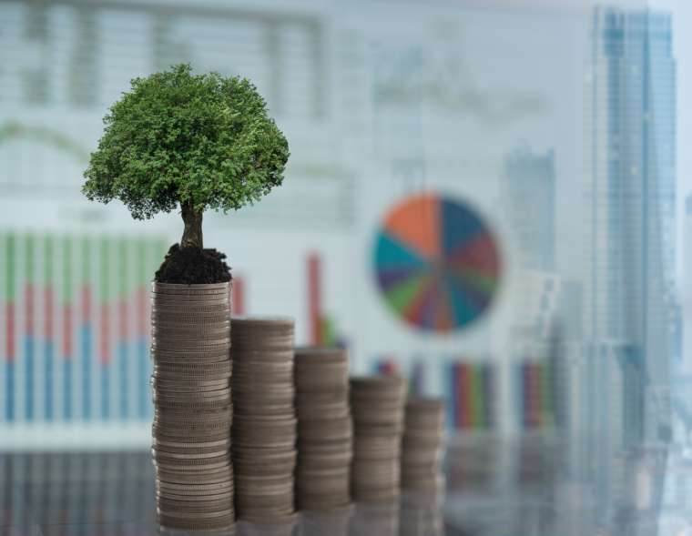 Financial Management for Non-Financial Professionals
