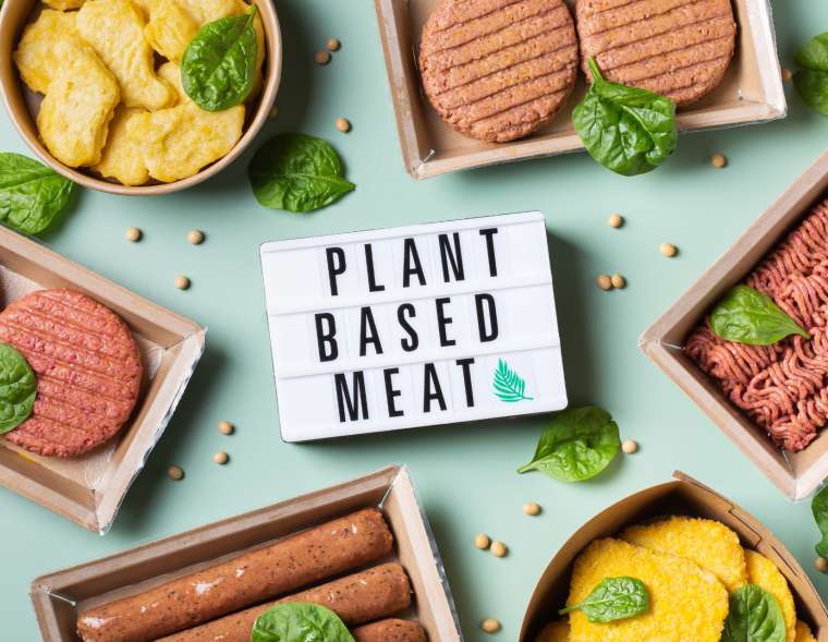 Plant-Based Nutrition: Embracing a Green and Balanced Diet